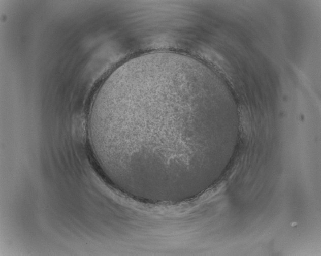 X0000072960016200608041204