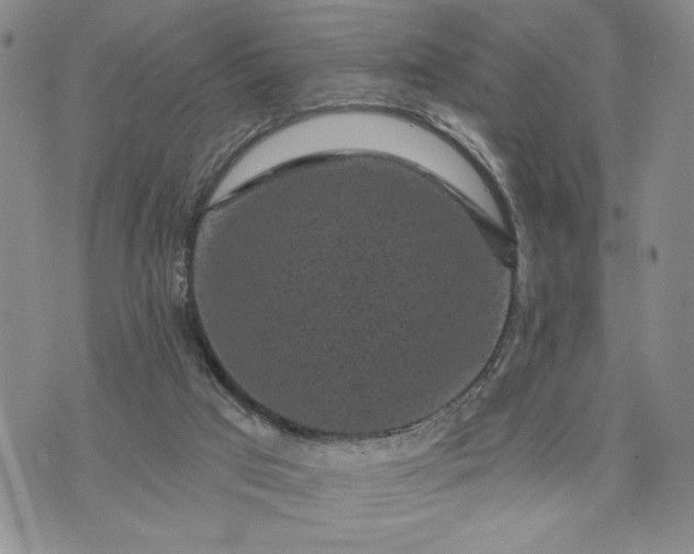 X0000072960017200608041204