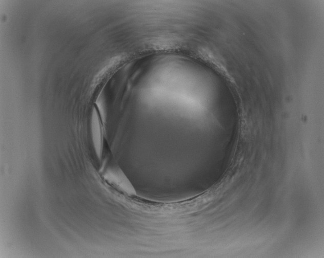 X0000072960019200608041204