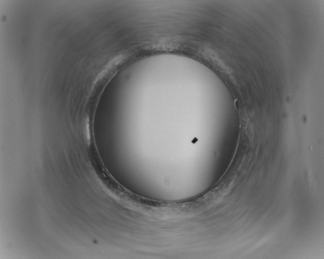 X0000072960020200608041204