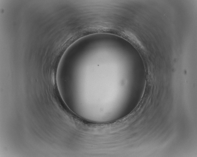 X0000072960021200608041204