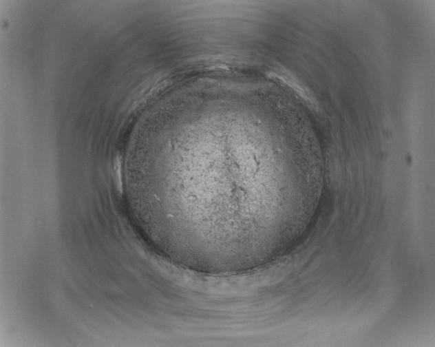 X0000072960022200608041204