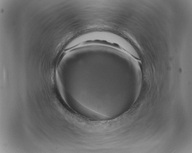 X0000072960023200608041204