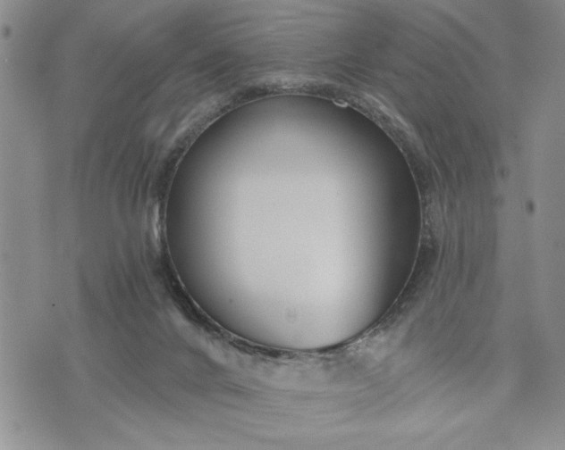 X0000072960024200608041204