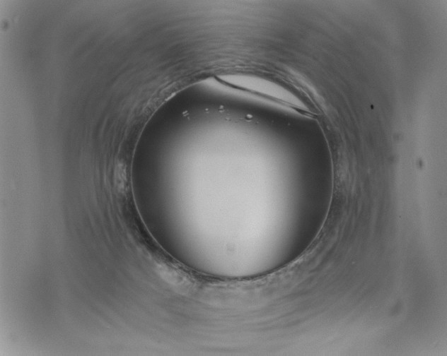 X0000072960025200608041204