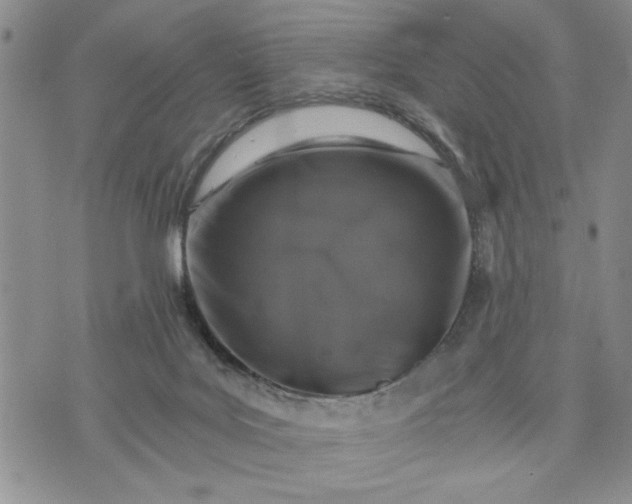 X0000072960027200608041204