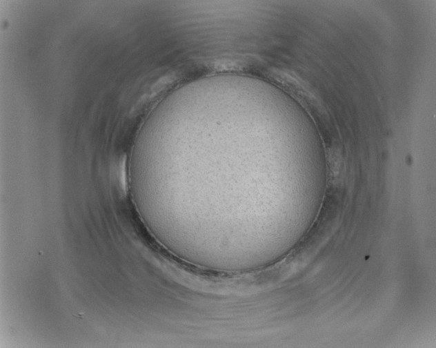 X0000072960028200608041204