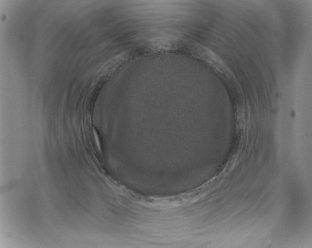 X0000072960029200608041204