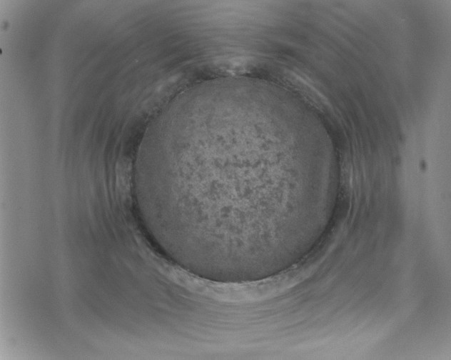 X0000072960030200608041204