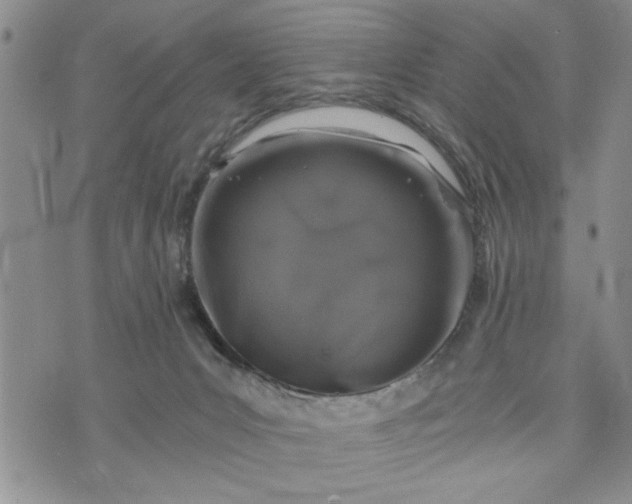 X0000072960031200608041204