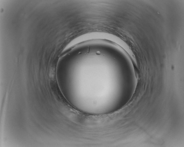 X0000072960033200608041204