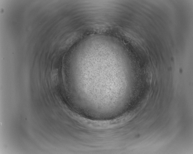 X0000072960034200608041204