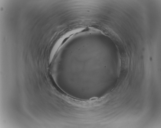 X0000072960035200608041204