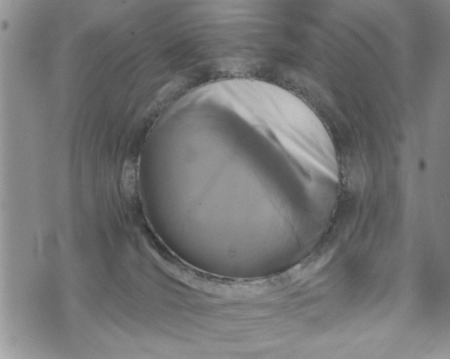 X0000072960036200608041204