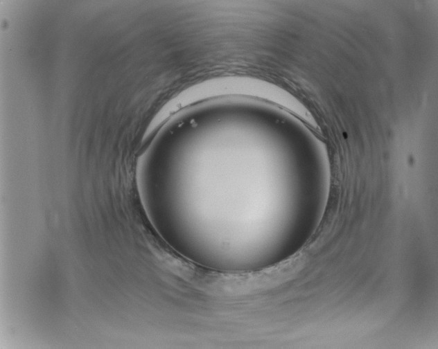 X0000072960037200608041204