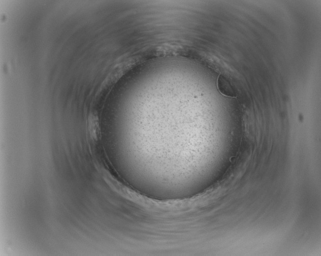 X0000072960038200608041204