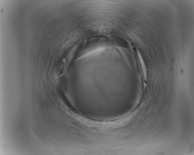 X0000072960039200608041204