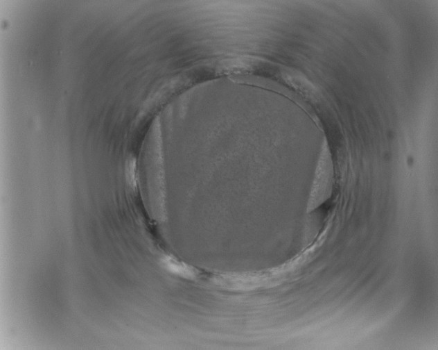 X0000072960041200608041204