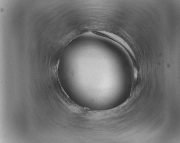 X0000072960045200608041204