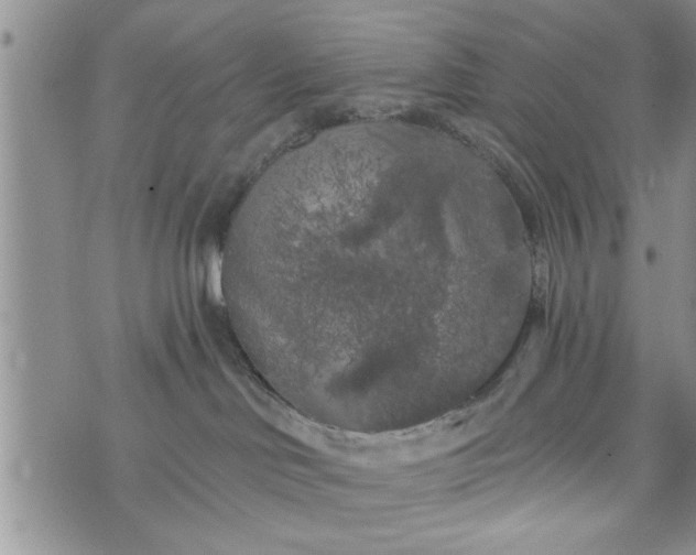 X0000072960046200608041204