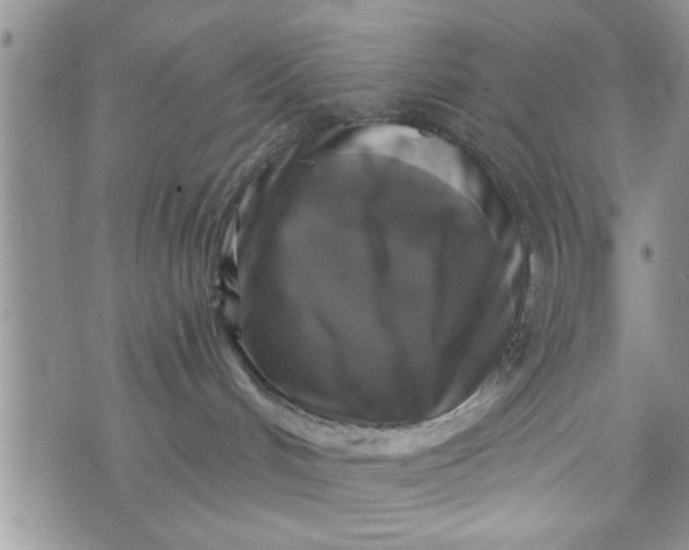 X0000072960048200608041204