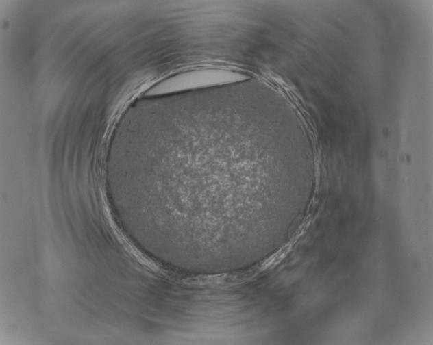 X0000072960049200608041203