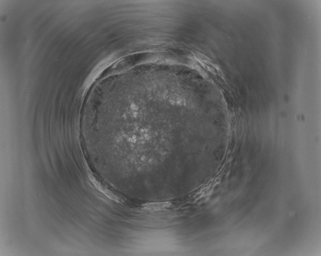 X0000072960051200608041203