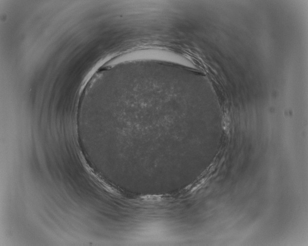 X0000072960052200608041203