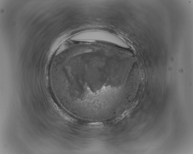 X0000072960053200608041203