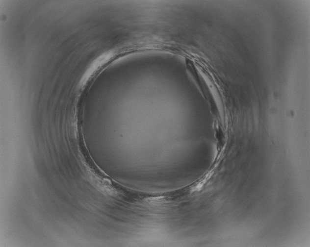 X0000072960054200608041203