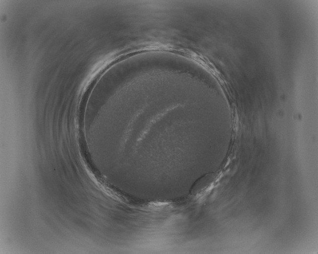 X0000072960055200608041203