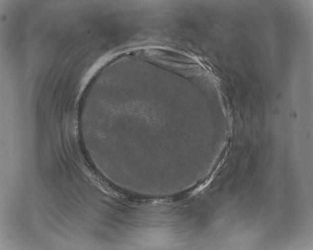 X0000072960056200608041203