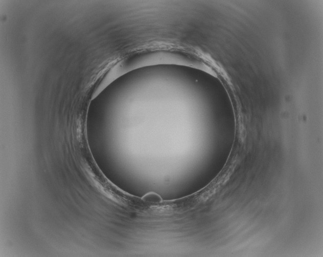 X0000072960057200608041203