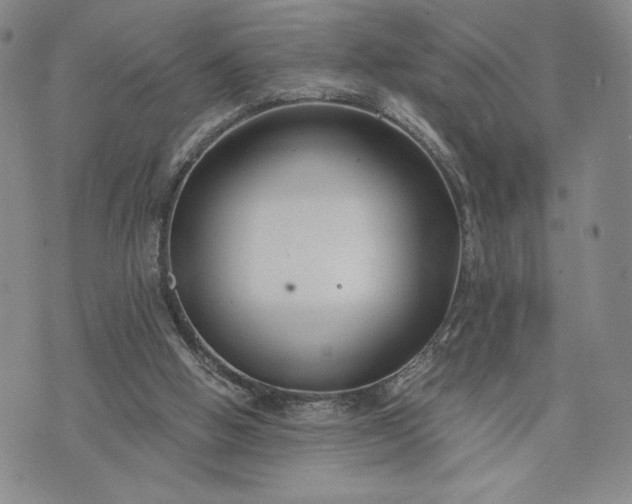 X0000072960058200608041203