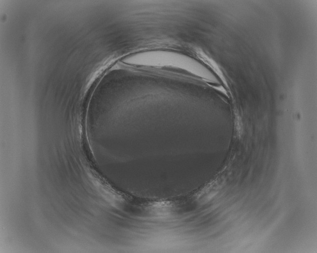 X0000072960059200608041203