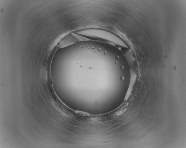 X0000072960060200608041203