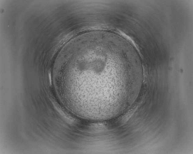 X0000072960061200608041203