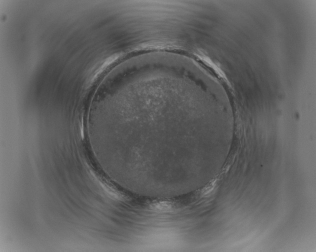 X0000072960062200608041203