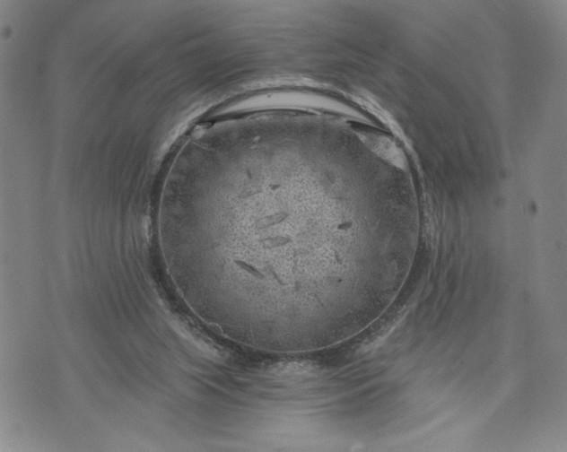 X0000072960063200608041203