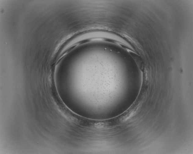 X0000072960064200608041203