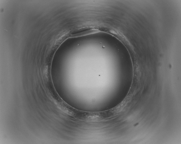 X0000072960066200608041203