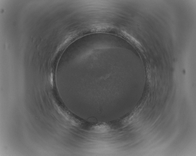 X0000072960067200608041203