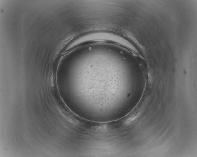 X0000072960068200608041203