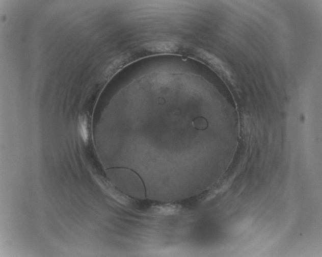 X0000072960069200608041203