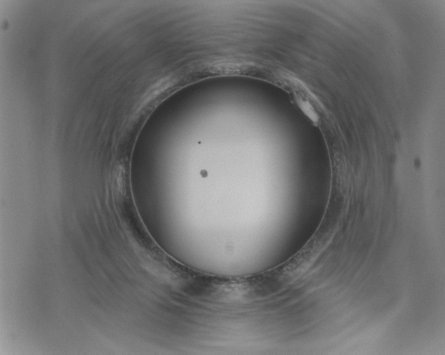 X0000072960071200608041203