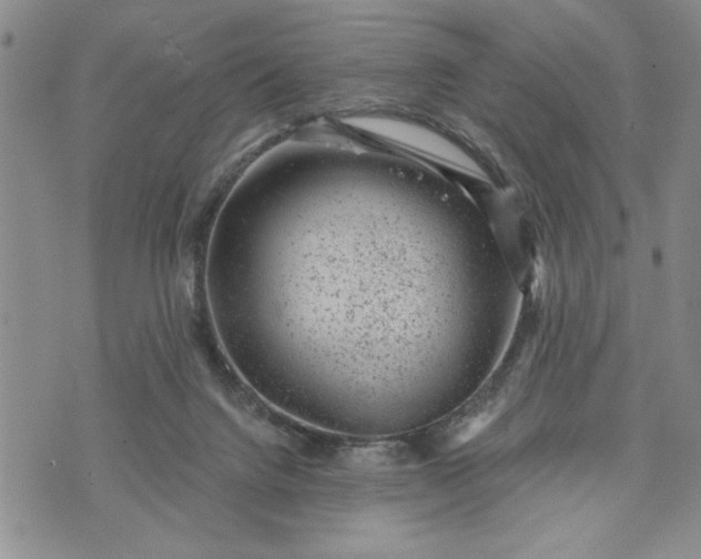 X0000072960072200608041203