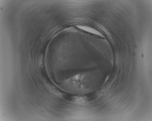 X0000072960073200608041203