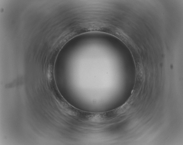 X0000072960074200608041203