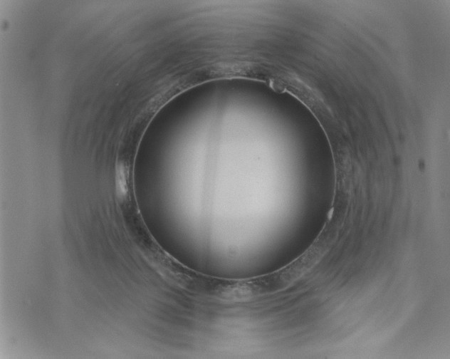 X0000072960075200608041203