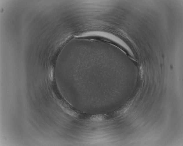 X0000072960076200608041203